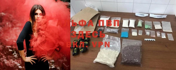 прущие грибы Верхний Тагил