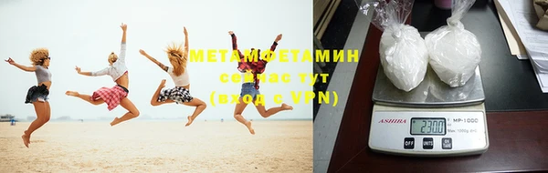 прущие грибы Верхний Тагил