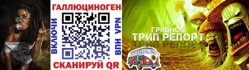 это телеграм  Островной  Псилоцибиновые грибы Magic Shrooms 